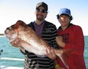 Moreton Island Fishing Charters Knobby Snapper
